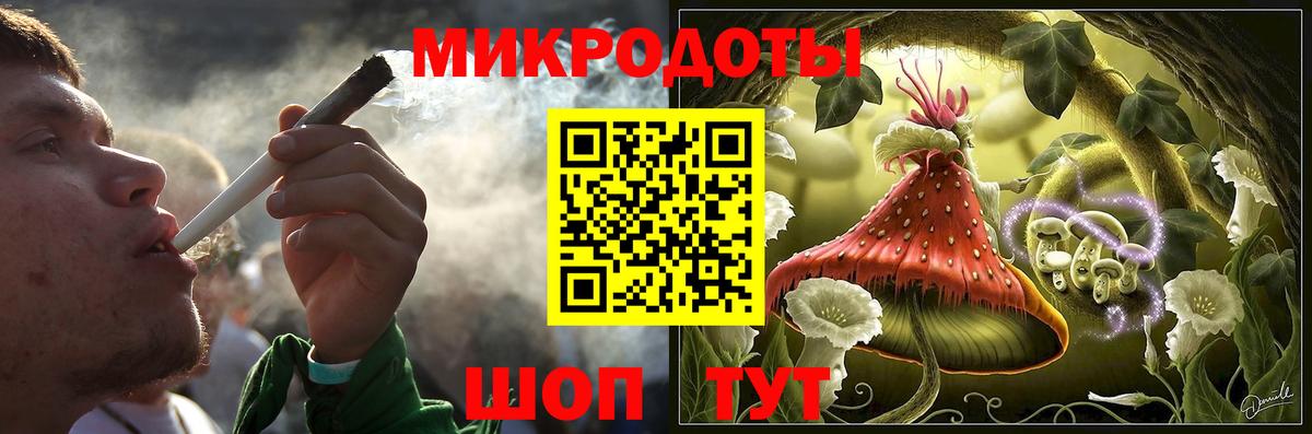 Галлюциногенные грибы Psilocybe Можга